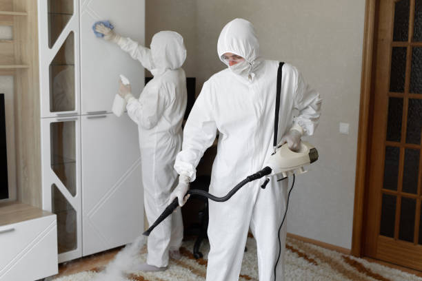24/7 Emergency Odor Removal experts in Concord, CA