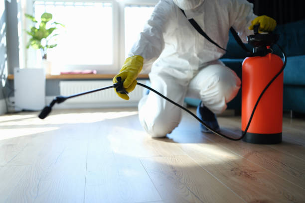 Reliable Odor Removal contractor in Concord, CA by Trauma Clean Pros